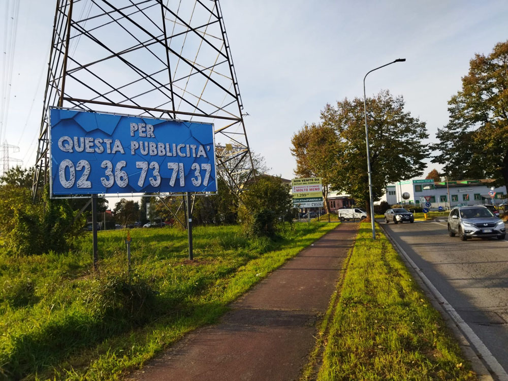 Viale Europa lato sx 50 mt dopo rotatoria  Viale Lombardia